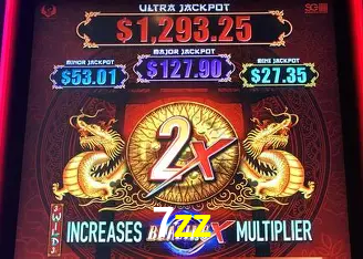 7zz Curitiba - Live Status